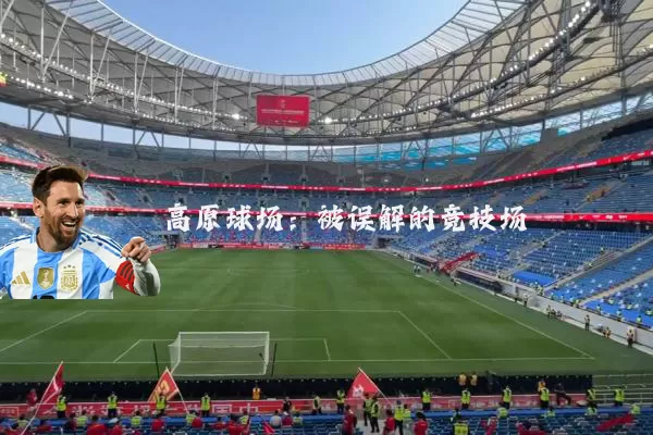 高原球场:被误解的竞技场